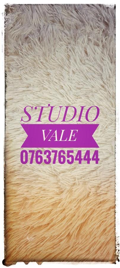 Studio Vale Hunedoara Exterior foto